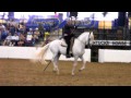 2011 Breyerfest Celebration Horse Pecos Performing