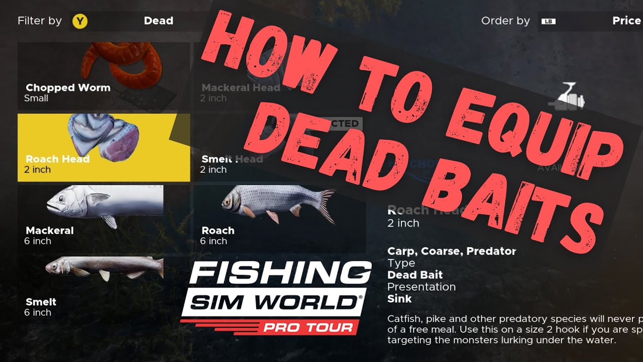 How to Equip Large Dead Baits - Roach, Mackerel, Smelt - Fishing Sim World  Pro Tour 2021 