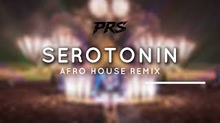James Hype - Serotonin (PRS Afro House Remix)