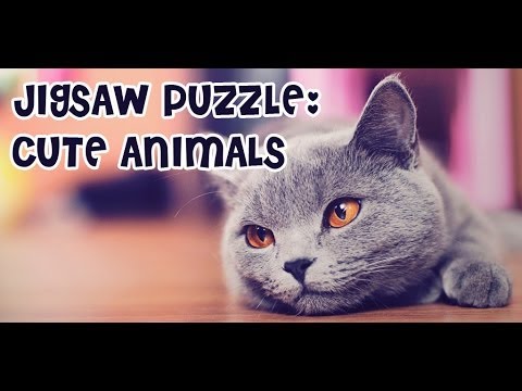 Jigsaw Puzzle: Cute Animals