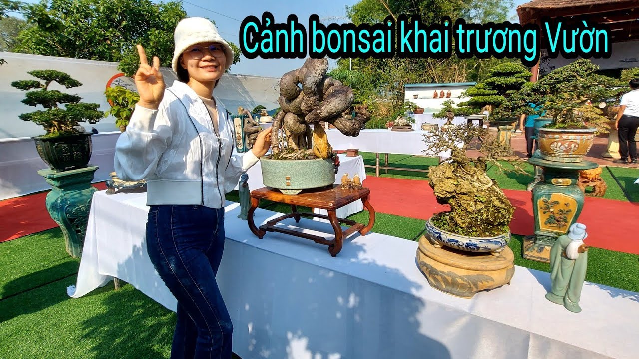 Thật đẹp mắt với phong cách chơi của Nhà vườn Cảnh bonsai, Phù Mỹ, Bình Định, như Triển lãm