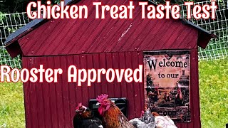 My Chickens Go WILD For This! The Best High-Protein Supplement Review