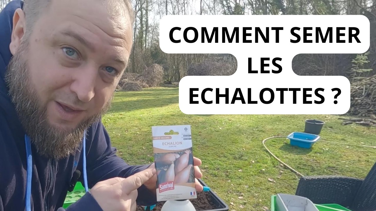 Comment faire un semis d'échalotte ? ( échalion )