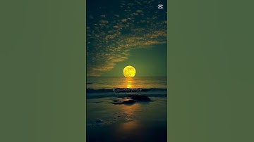 #اكسبلور  آيات بينات من الذكر الحكيم #دويتو القرآن الكريم راحة نفسية #duet #cute