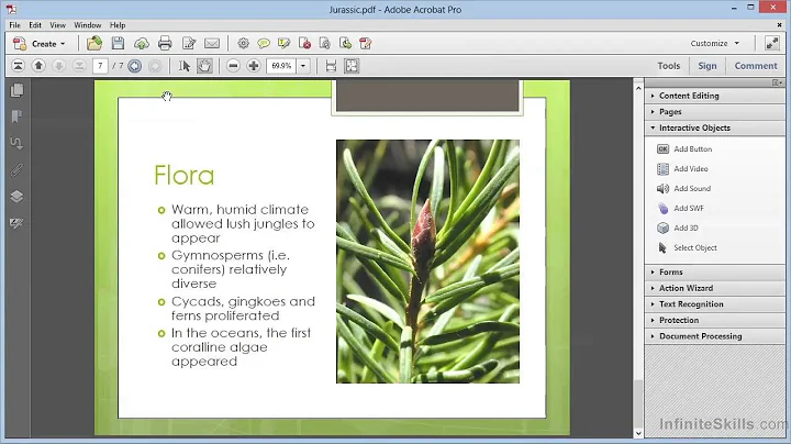 Adobe Acrobat XI Tutorial | Adding Buttons To PDFs