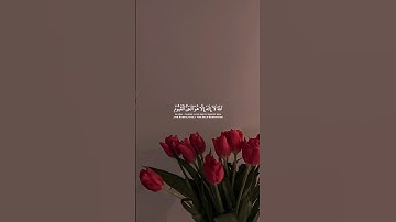 آية الكرسي من سورة البقرة بصوت القارئ ماهر المعيقلي 🌷 #سورة_البقرة