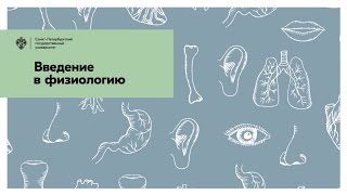 Введение в физиологию / СПбГУ Введение в физиологию / СПбГУ