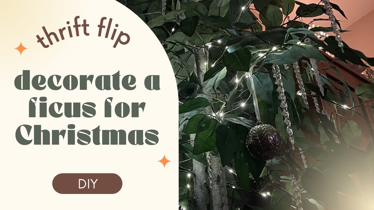 Decorate a Ficus for Christmas . . .live or fake they make great