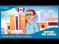 Understanding Canadian and American Healthcare Systems