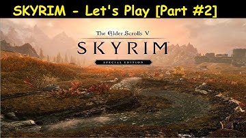 SKYRIM | Let