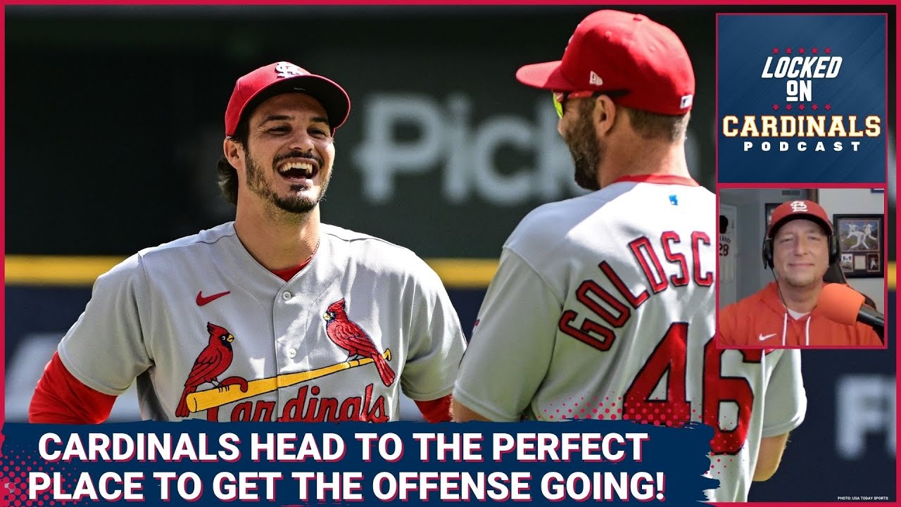 st louis cardinals spot it game