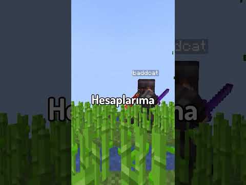 Video: Minecraft'ta Zırh Nasıl Yapılır (Resimlerle)
