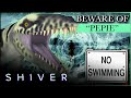 UNEXPLAINED: The ELEPHANT-SIZED Sea Monster Terrifying Swimmers | Boogeymen | Shiver