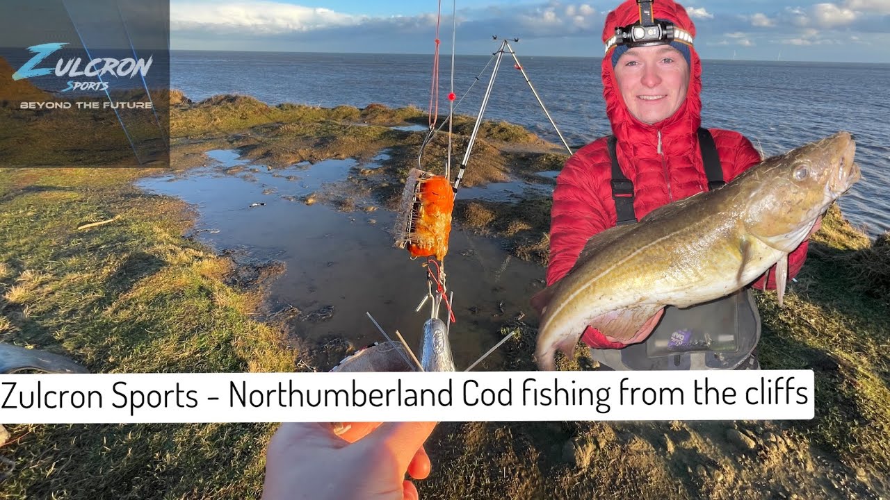 Zulcron Sports - Northumberland Cod fishing from the cliffs, another good  fish