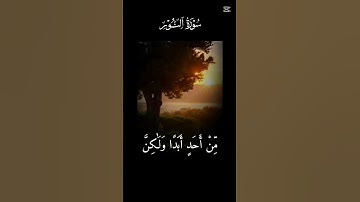 #قرآن #اكسبلور #سورة النور