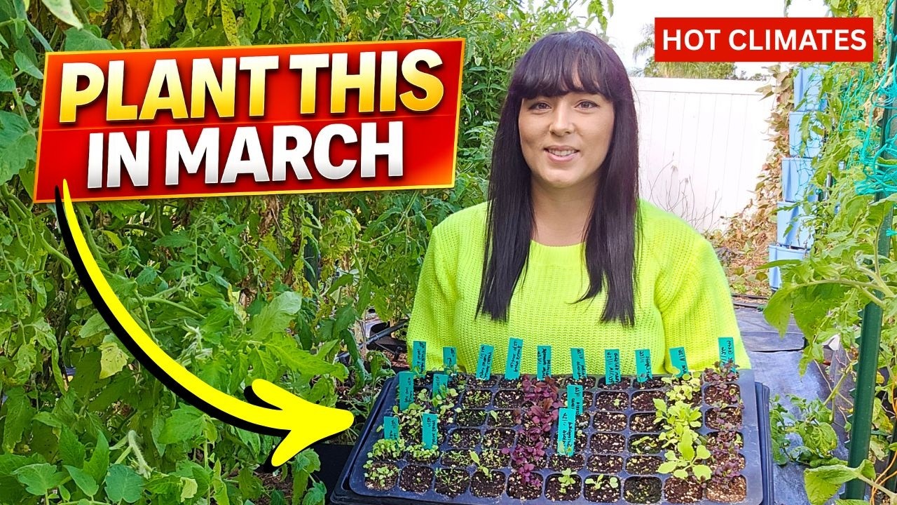 Руководство по посадке на март: что выращивать сейчас для максимального урожая.