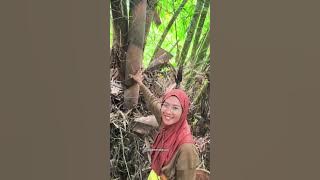 Ngebolang ke hutan #aktivitasdiladangberkebun #rebungbambu #sayuran