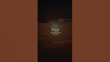 ولئن سألتهم من نزل من السماء ماء   القارئ عبد الرحمن مسعد   قرآن كريم   ♡ #قران