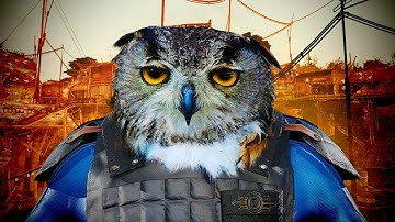 Tale of Two Wastelands Is Fallout at Its Peak