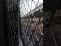 Mumbai Suburban Overtake #centralrailways #youtubeshorts#mumbai #trending#shorts #konkanrailway#Rail