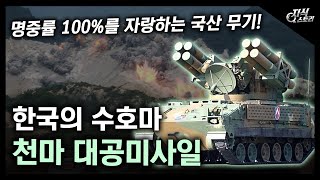 한국의 수호마 