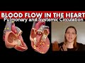 Blood flow through the heart