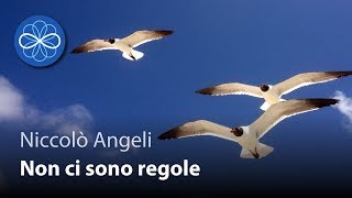 Non ci sono regole nel gioco dello Spirito - Niccolò Angeli