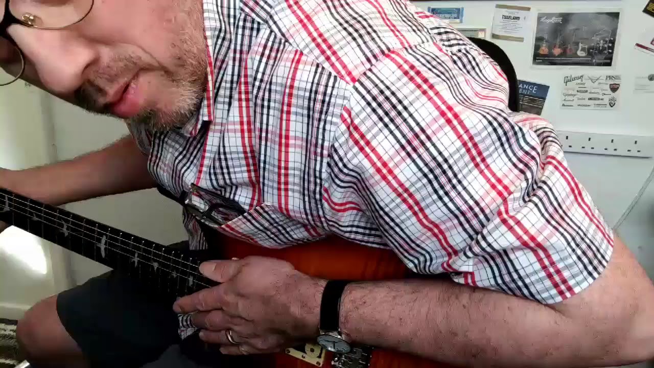 PRS SE Custom 24 push push pot