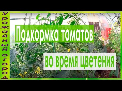 ПОДКОРМКИ ТОМАТОВ ВО ВРЕМЯ ЦВЕТЕНИЯ!