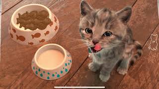 Little Kitten & Friends Adventure - Learn with a cute virtual cat Cutest Cat Best App for Kids screenshot 4