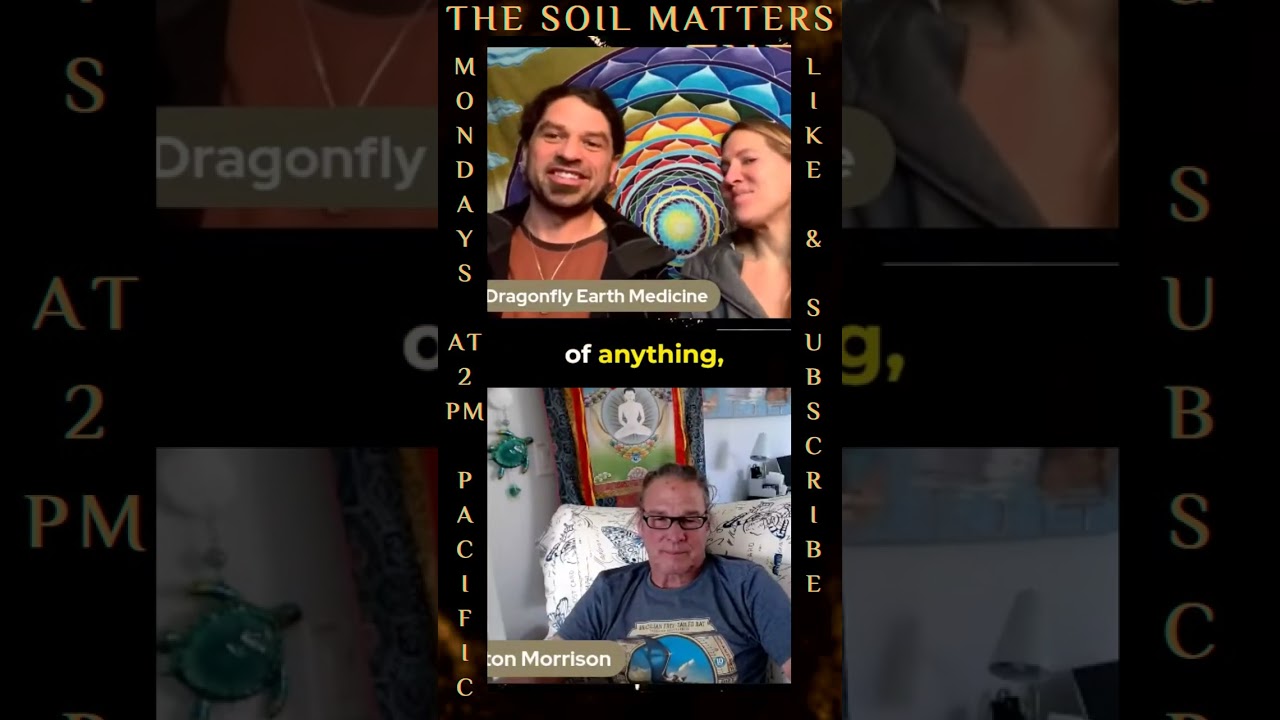 Dragonfly Earth Medicine You Are The Rock Stars