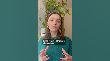 How can we reach net zero emissions?