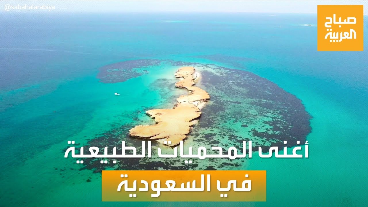 صباح العربية | 