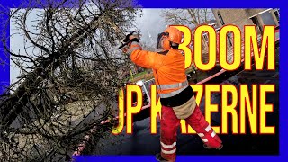 Download Lagu 😅 Tree on the Barracks: Lunteren Fire Department responded to the incident itself. MP3