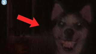 5 Dark & Disturbing Internet Mysteries That Have NEVER Been Solved...