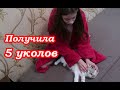 VLOG Очень переживаю за Фросю . Везем к ветеринару