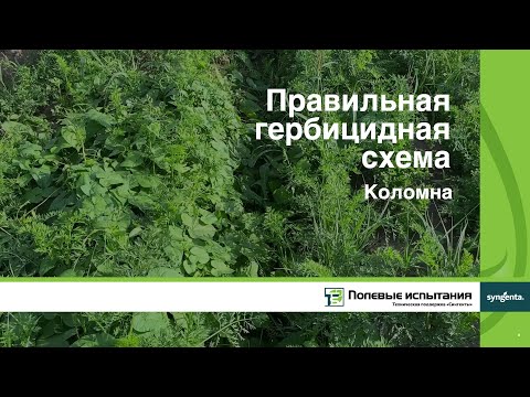 Правильная гербицидная схема, Коломна