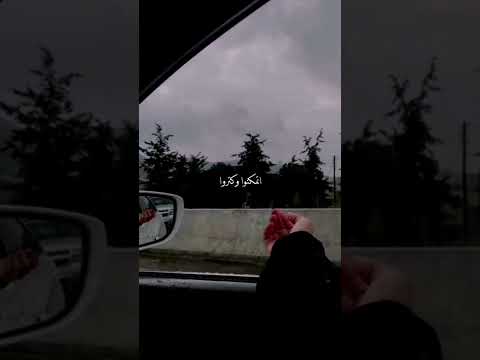 شيرين عبدالوهاب ك ل ما انسالك كلامك برجع افتكره