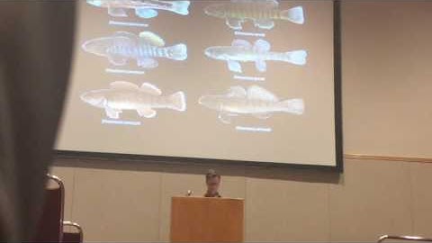 Hulse: The Efficient Coding Hypothesis and Signal Design