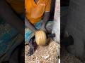 Amazing Wooden Bowl Making Process | Pure Craftsmanship😱 #viral #foryou