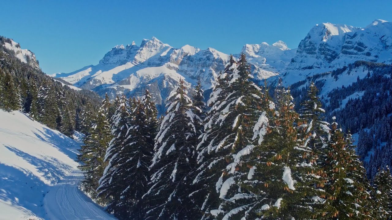 Grand Paradis: Trade it for the night?