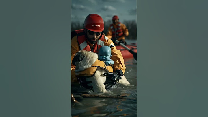 A Hero Pug Rescues a Baby from Flood