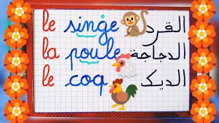 تعلموا كتابة وقراءة أسماء بعض الحيوانات بالفرنسية/ أسهل طريقة لتعلم قراءة اللغة الفرنسية بسهولة.