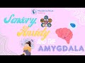 Sensory, Anxiety and the Amygdala