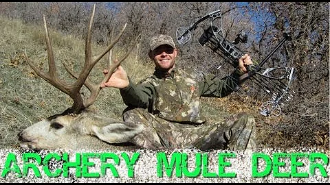 Solo Archery Mule Deer Hunt and Kill Shot with Tines Up, Spot and Stalk