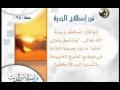 فن إصطلاح الحديث قناة المجد للحديث النبوى 25
