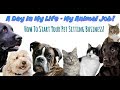 A DAY IN MY LIFE - MY ANIMAL JOB | Pet Sitting & How to Get Started!
