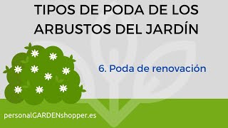 6. Poda de renovación de los arbustos