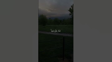 القارئ محمود خليل الحصري| سورة القصص| الآية۝٨٣:۝٨٤ #صلوا_على_النبي #صلي_قبل_ان_يصلى_عليك #قرآن