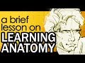 LEARNING ANATOMY - A Brief Lesson